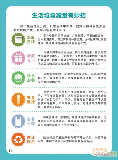 垃圾分類生活指南 每位居民的日常環(huán)保必修課